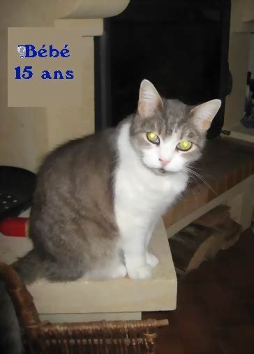 chatte 18|'chatte 18 ans' Search .